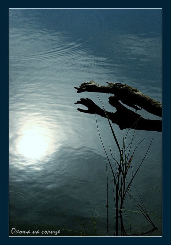 Охота на солнцеphoto preview