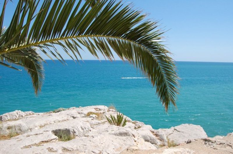 море, пальма, корабли, peniscola, spain благодатьphoto preview