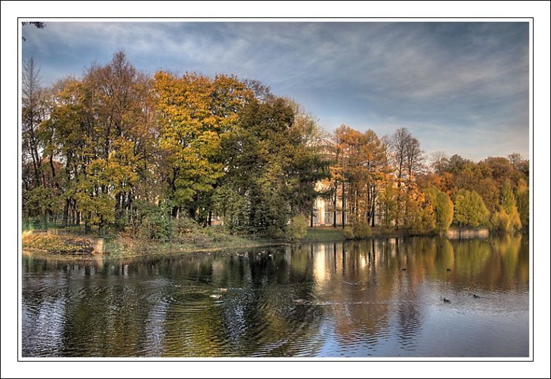питер, осень, таврический сад Осеннее #2 (В Таврическом)photo preview