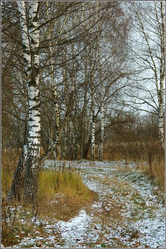 осень, хима, заморозки, очень, холодно Первые заморозкиphoto preview