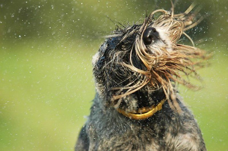 Брызгиphoto preview