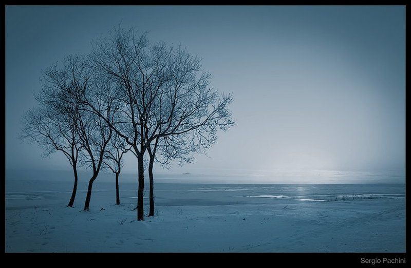 .Sergio Pachini. Winterphoto preview