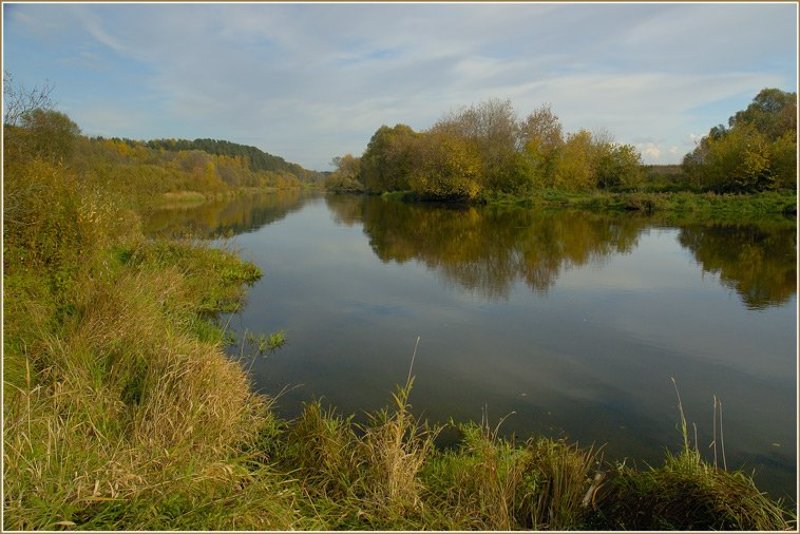 осень, сосны, лес, река Осень в подмосковьеphoto preview