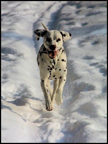 Бегу! К Тебе...