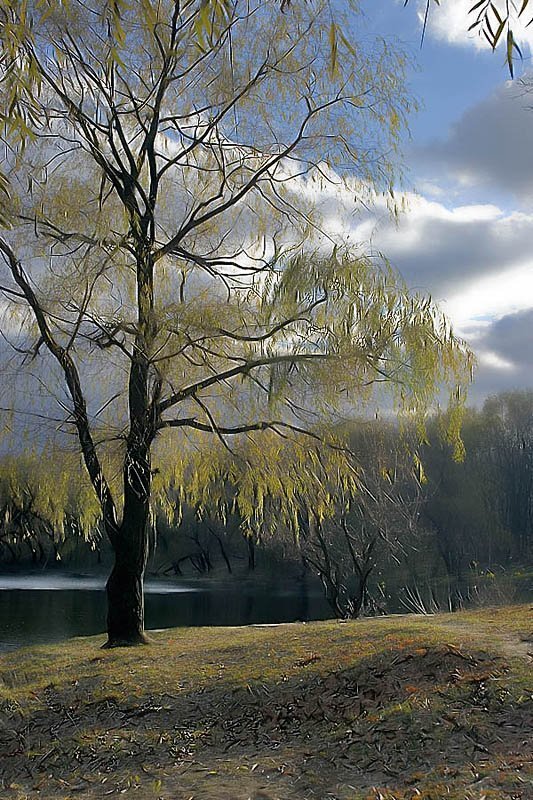 Последняя листваphoto preview