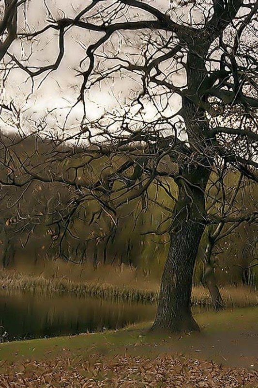 Осеньphoto preview