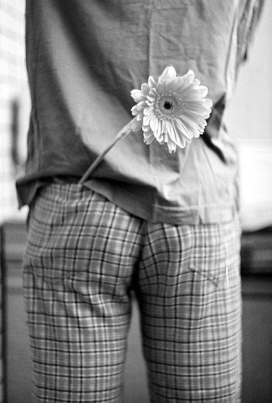 Ромашкаphoto preview