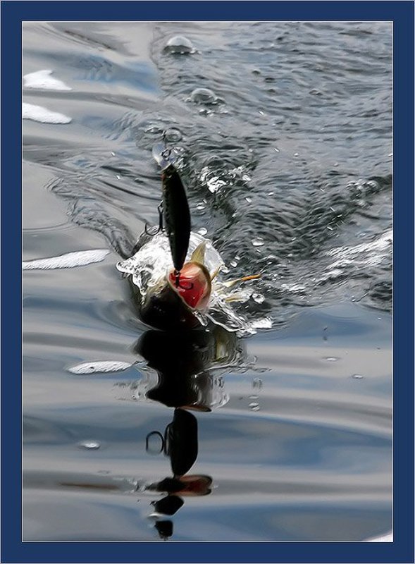 Ловись рыбка большая..photo preview