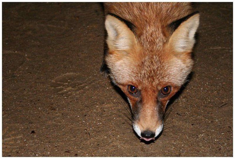 Есть есть ? :)photo preview