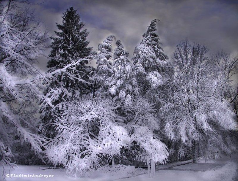 Winter