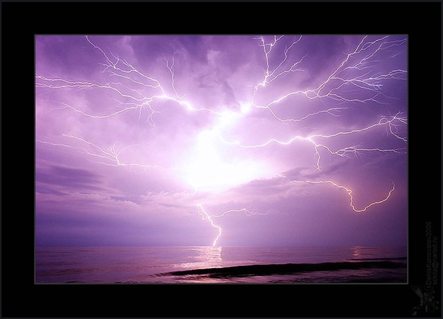 "Дерево света". Автор: Sckliz (Денис Коновалов) свет, молния, море, дерево, шторм, Sckliz (Денис Коновалов)