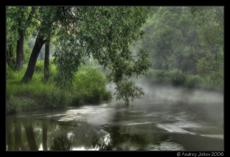 москва, утро, река, лето, овраг, photohunter Умываясь в реке..photo preview