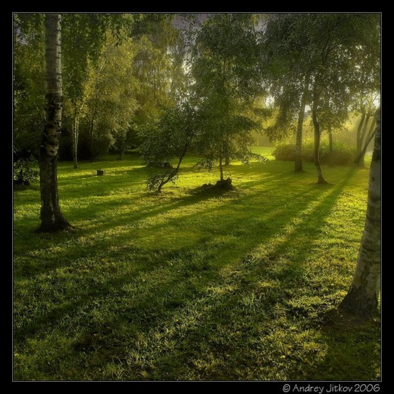 москва, вечер, тени, лето, дождь, photohunter После дождя..photo preview