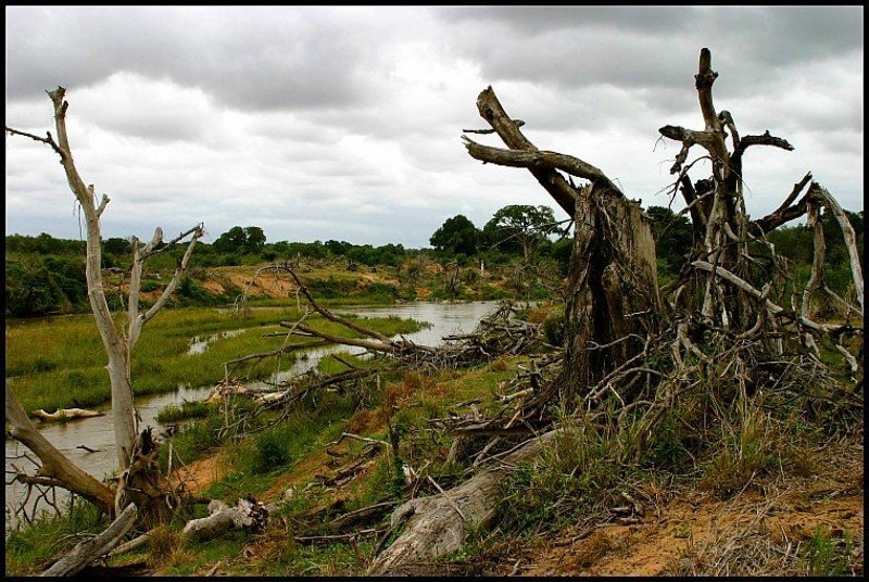Sabie River, South Africa Протекала речкаphoto preview