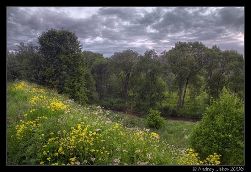 москва, утро, лето, овраг, photohunter Лето..photo preview