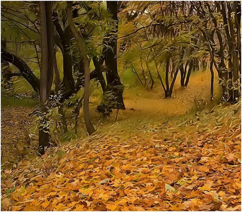 Осенняя медитативнаяphoto preview