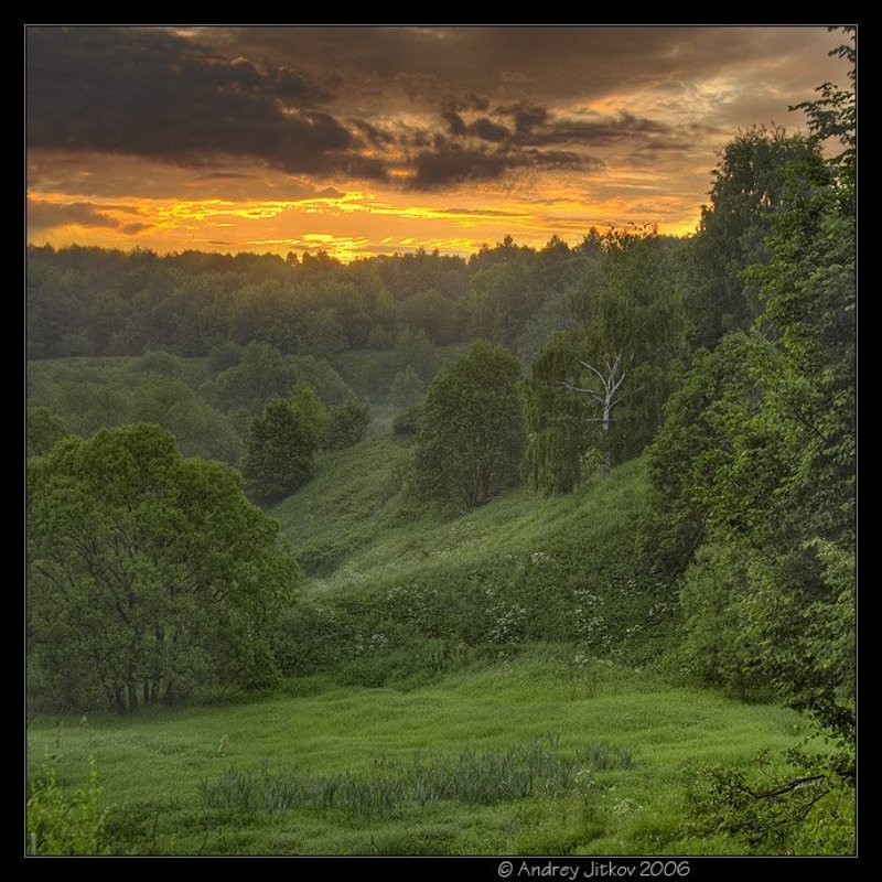 москва, утро, лето, овраг, рассвет, туман, photohunter Рассвет в овраге..photo preview