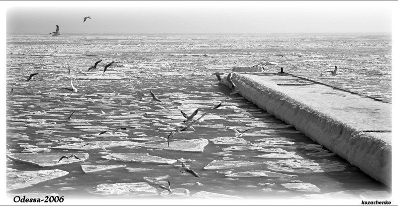 Антактидаphoto preview