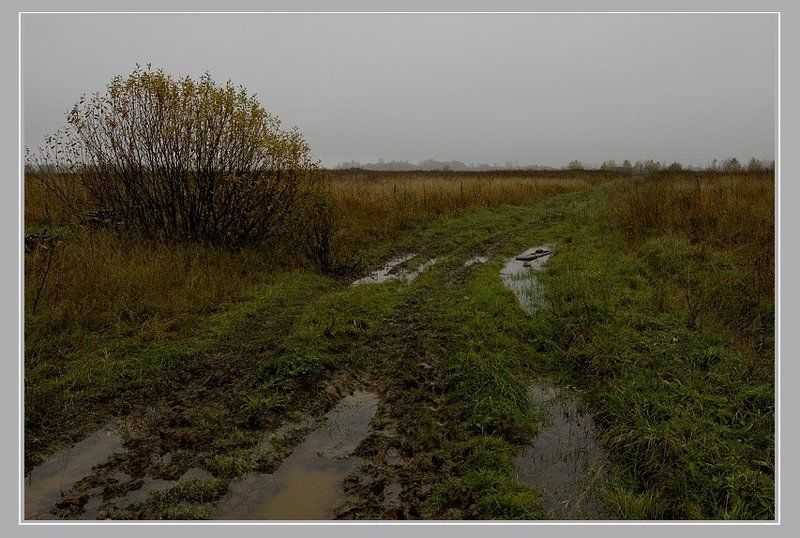 Про сыростьphoto preview