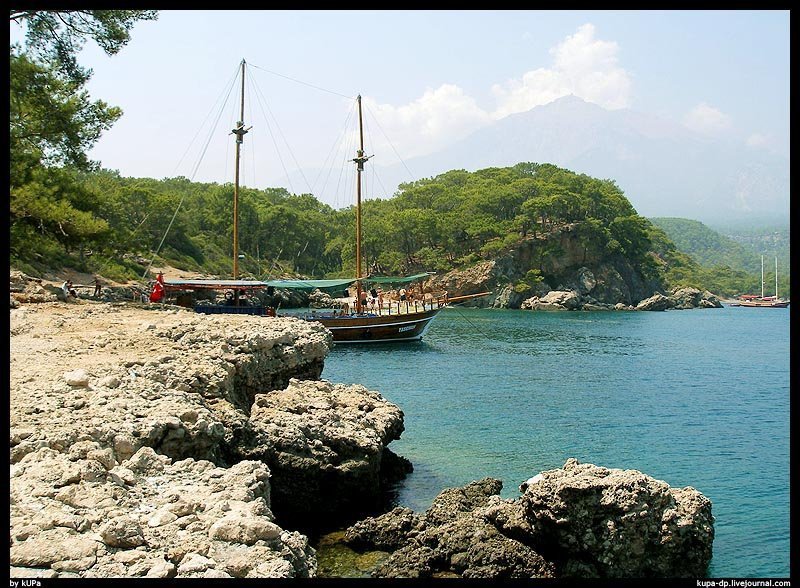 Turkish, kUPa photo preview