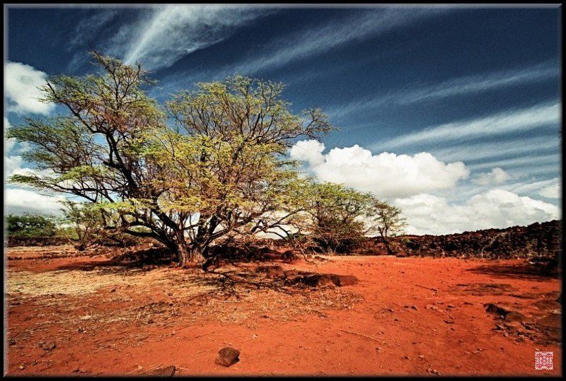 Форт Элизабетphoto preview