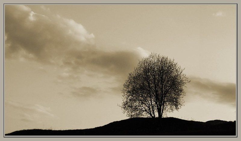 Про одиночествоphoto preview