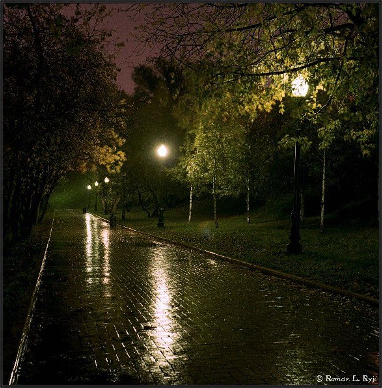 hasselblad, planar Night alleyphoto preview