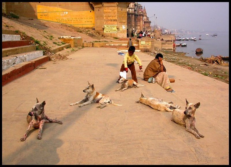 Варанаси, Индия Свитаphoto preview