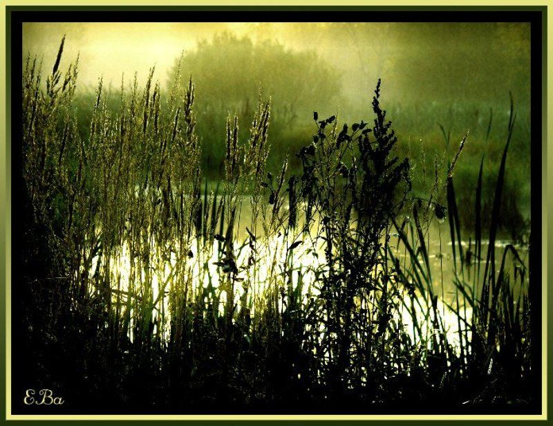 свет,пруд Свет...photo preview