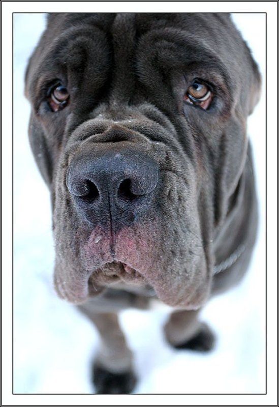 юго хтотут?photo preview