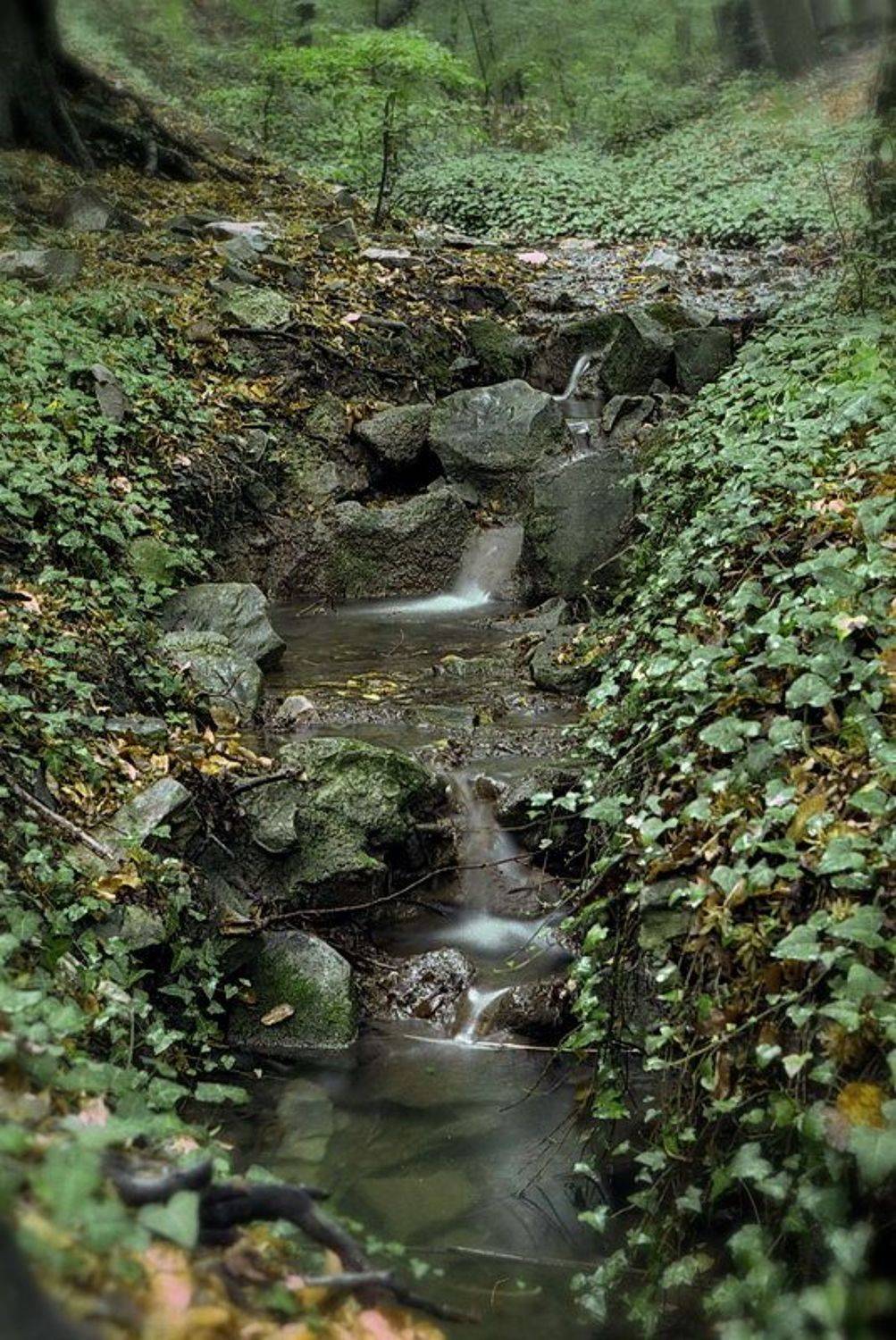 Утриш, ущелье, ручей, Gorshkov Igor_Feanorus