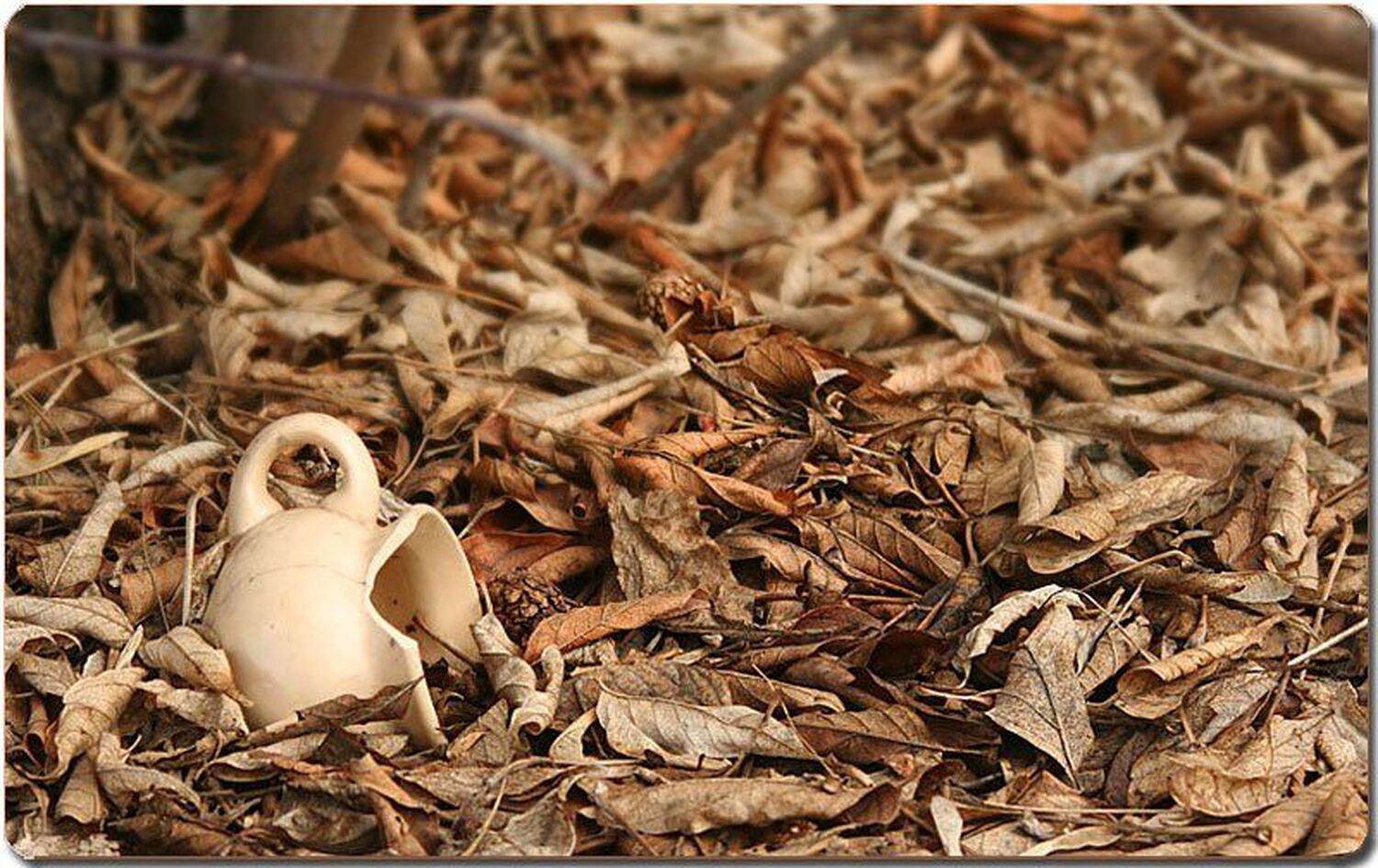 Автор: Gleb , Gleb