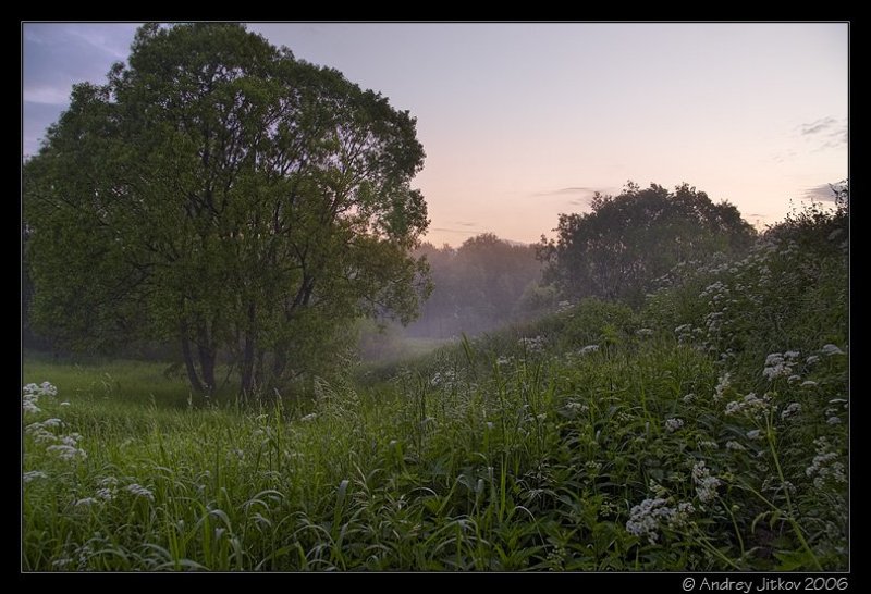 москва, утро, лето, овраг, рассвет, туман, photohunter Ещё расвет в том же овраге..photo preview