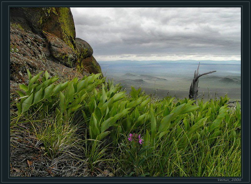 Тут не для всех цветут цветы...photo preview