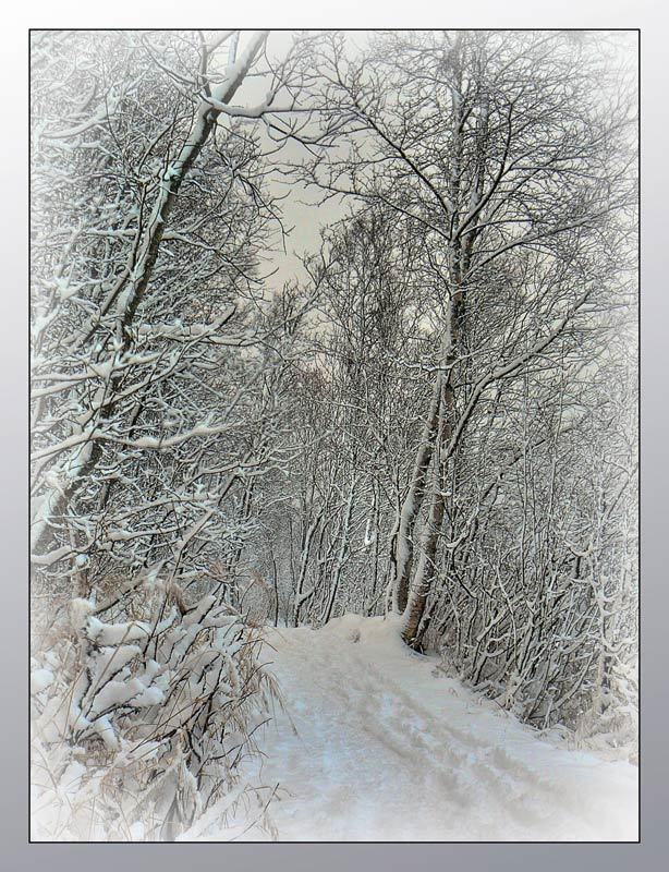 Октябрьский снегопадphoto preview