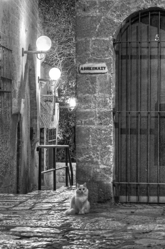 IgalSc, Old Jaffo Old Jaffo #13, или С Новым Годом!photo preview