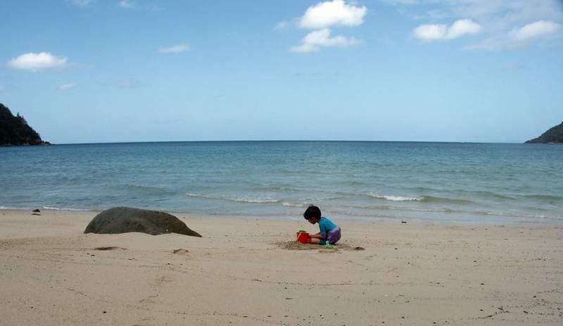 sea Alonephoto preview