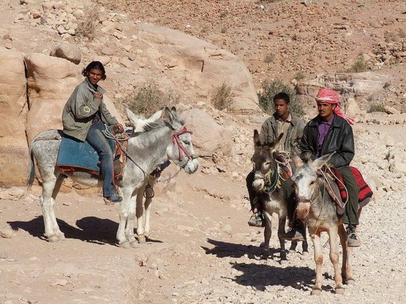 Иордания, бедуины Погонщики муловphoto preview
