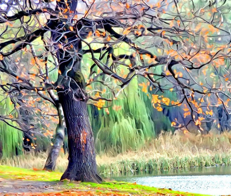 Контрастыphoto preview