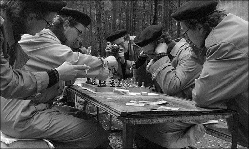 шахматы ***photo preview