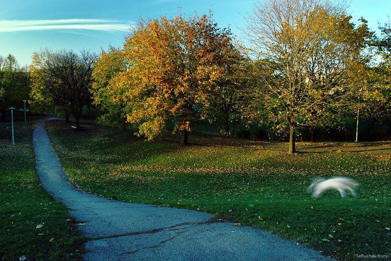 1st1, 1/6 photo preview