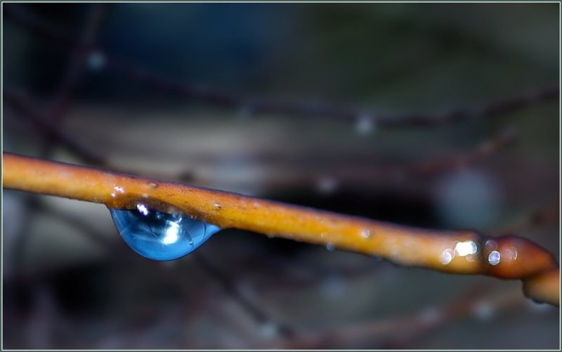 капля, вспышка Синеглазаяphoto preview