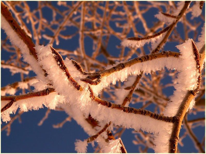 Мороз и солнце...photo preview