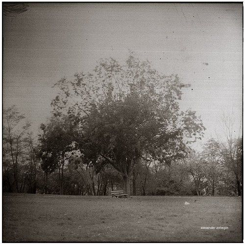 про_одиночство