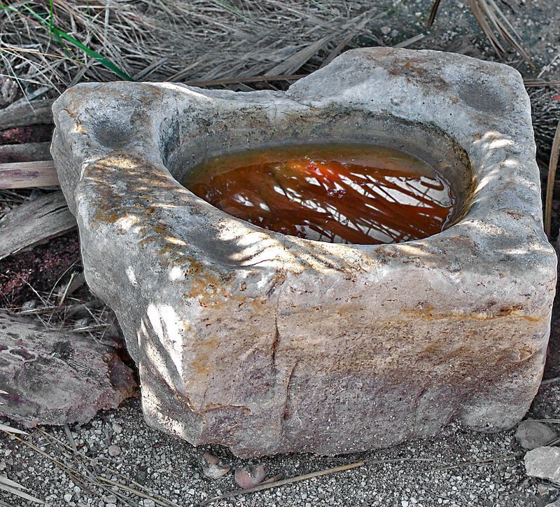 Жертвенная чашаphoto preview