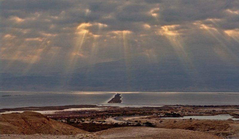 Солнечный дождьphoto preview