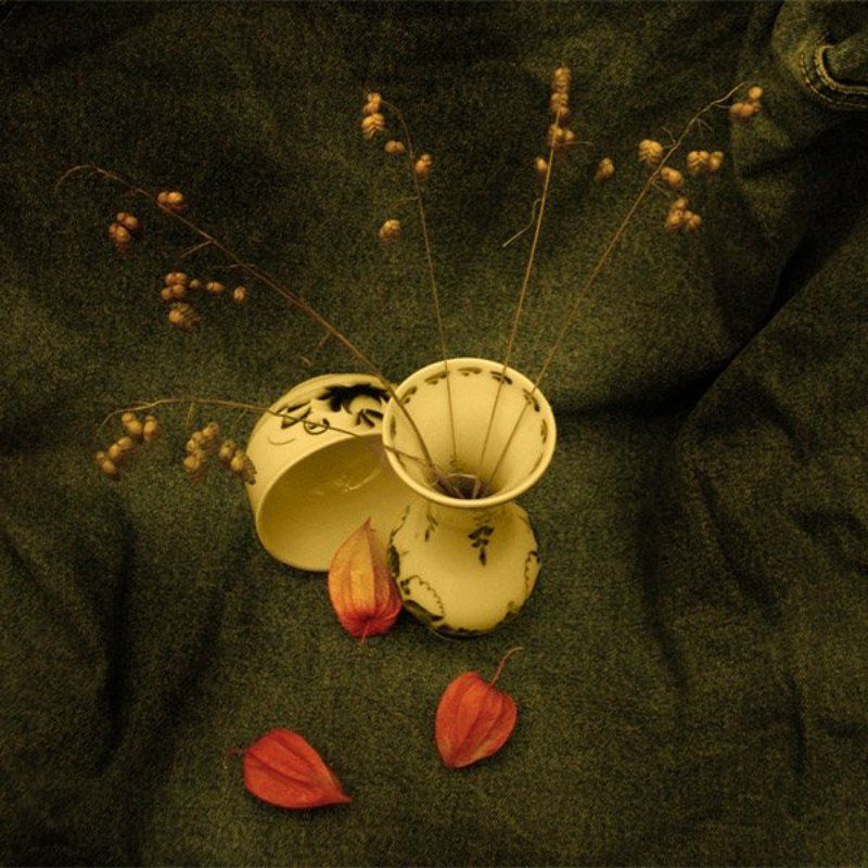 сухоцвет ***photo preview