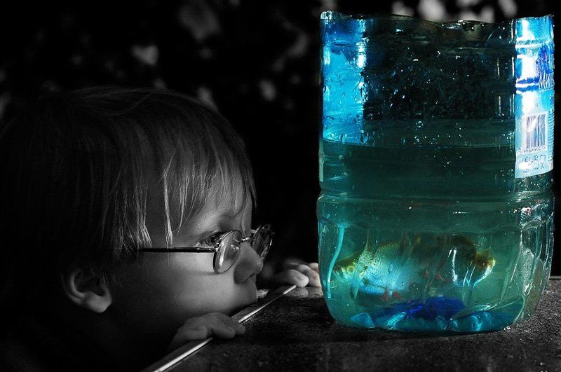 дети photo preview