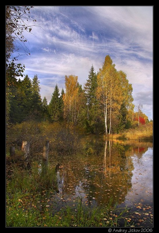 подмосковье, победа, осень, октябрь, пруд, листья, деревья, photohunter Осенний подмосковный пейзажphoto preview
