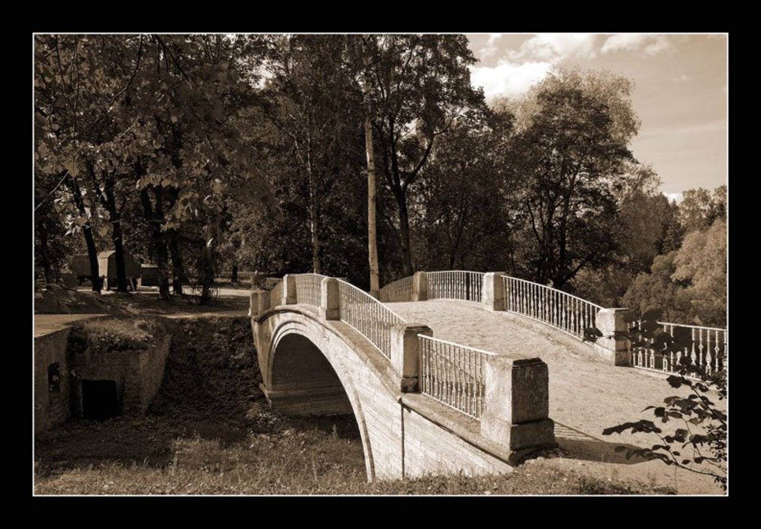 питер, пушкин, сад, Капустин Николай